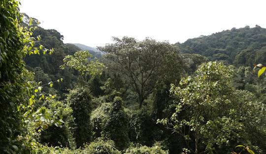 Hiking in Burundi
